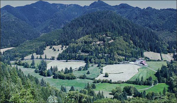 Aerial view of Foley Peak Angus Farm, Nehalem, Oregon