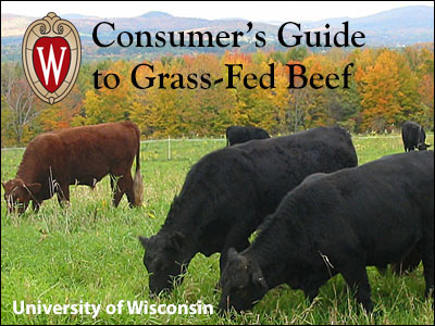 cover of u. of wisconsin grass-fed beef report